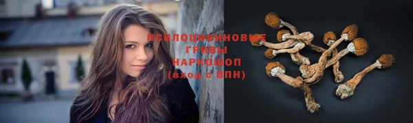каннабис Алексеевка
