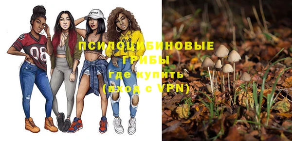 ешки Алзамай