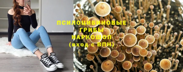 мяу мяу кристалл Алексин