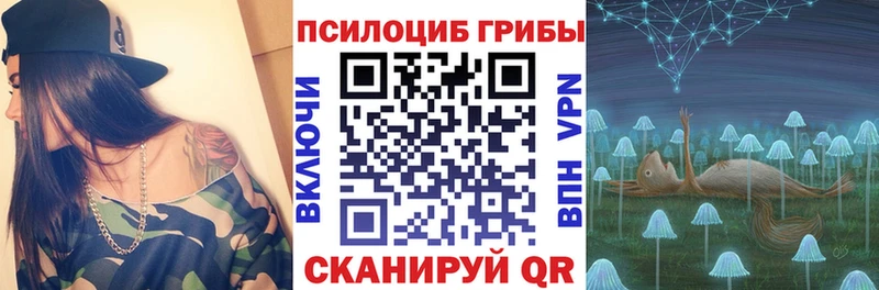 Псилоцибиновые грибы MAGIC MUSHROOMS  где купить наркотик  Аткарск 